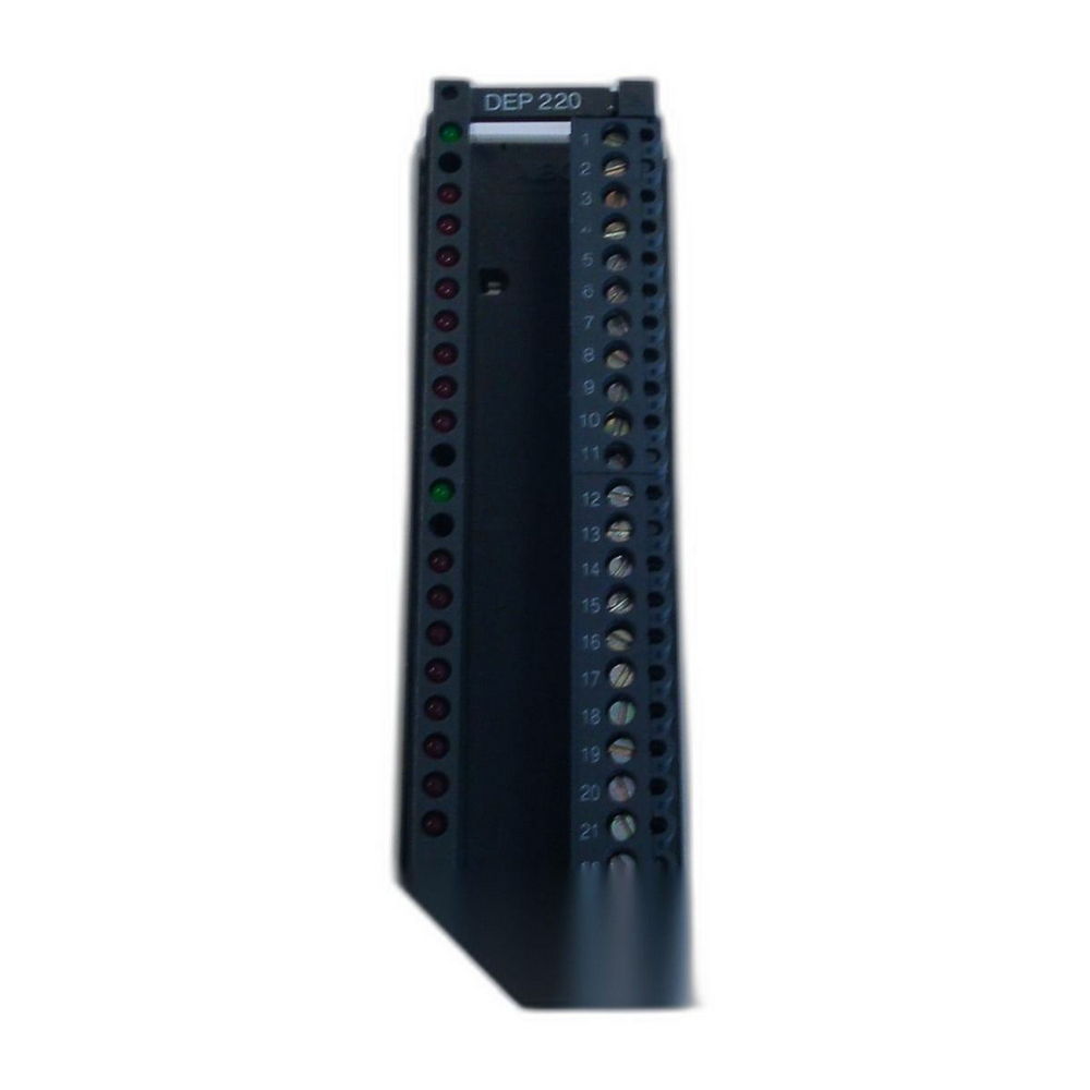 Schneider AEG DEP 220 16 dig 1 24vdc — изображение 2