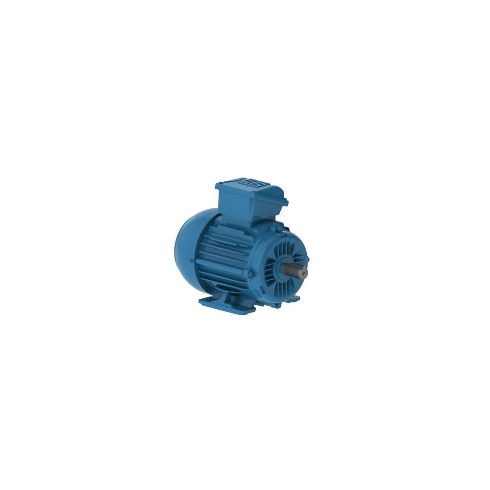 WEG W22 IE1 GY 80-4 0