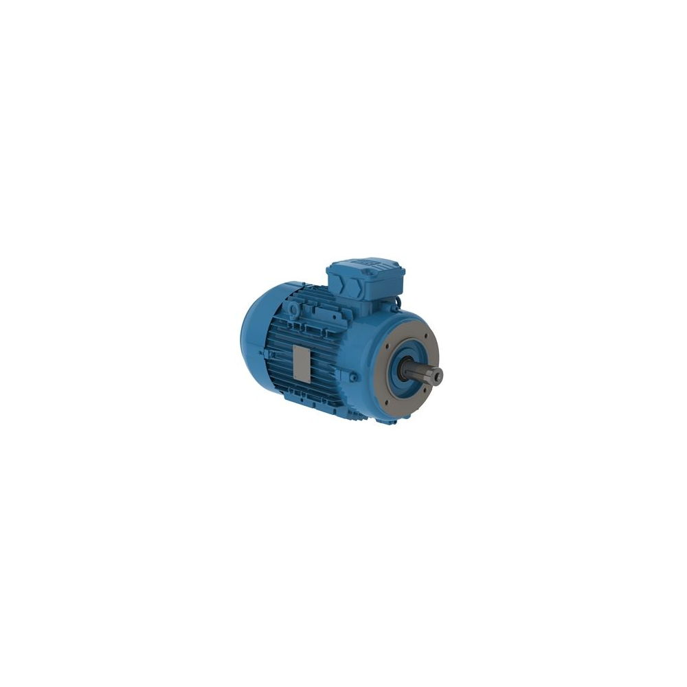 WEG W21 IE2 AL 112M-8 1