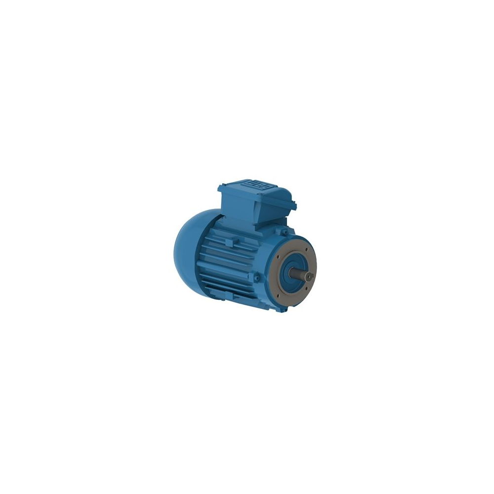 WEG W22 IE2 GY 90S-6 0