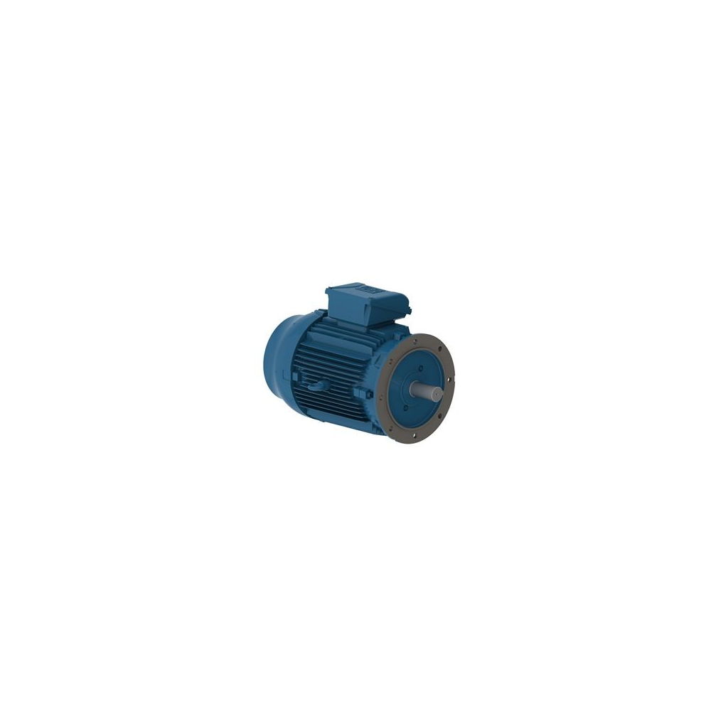 WEG W22 IE3 GY 160L-2 18
