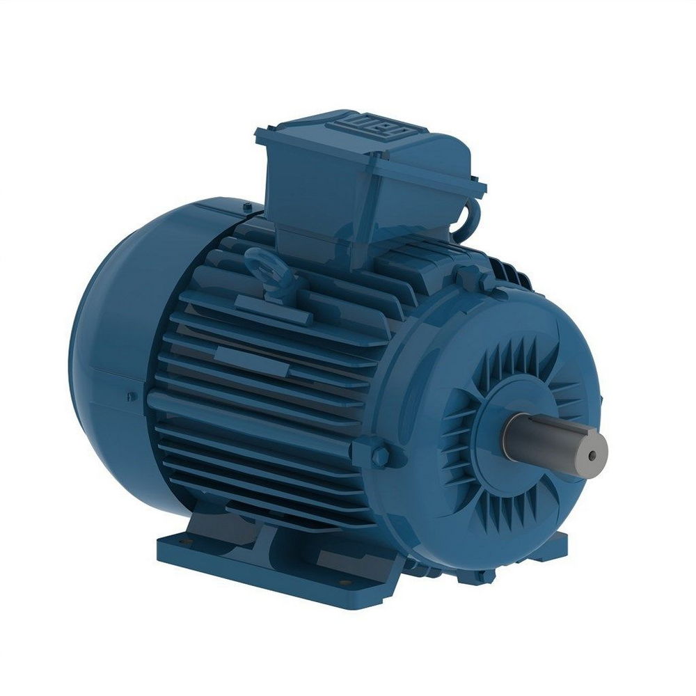 WEG W22 IE3 GY 132M/L-6 5