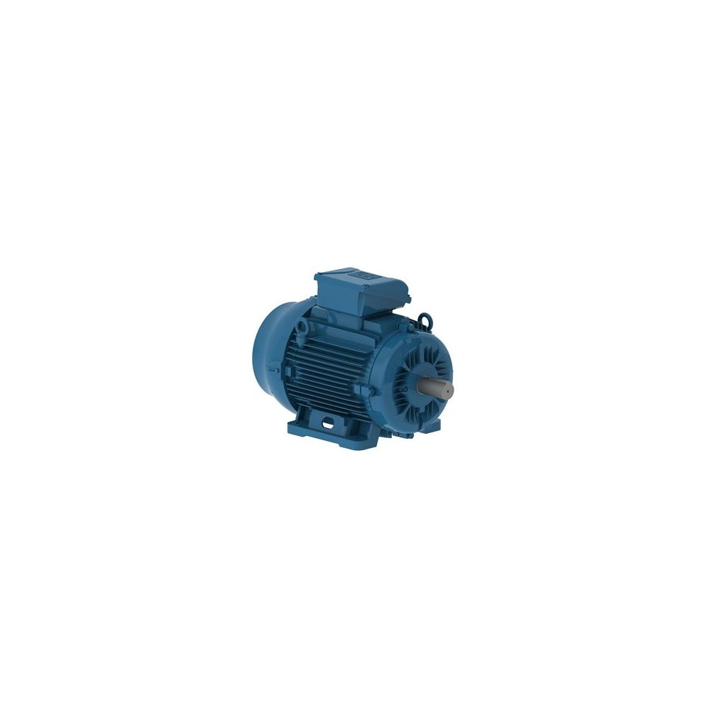 WEG W22 IE3 GY 160M-8 5