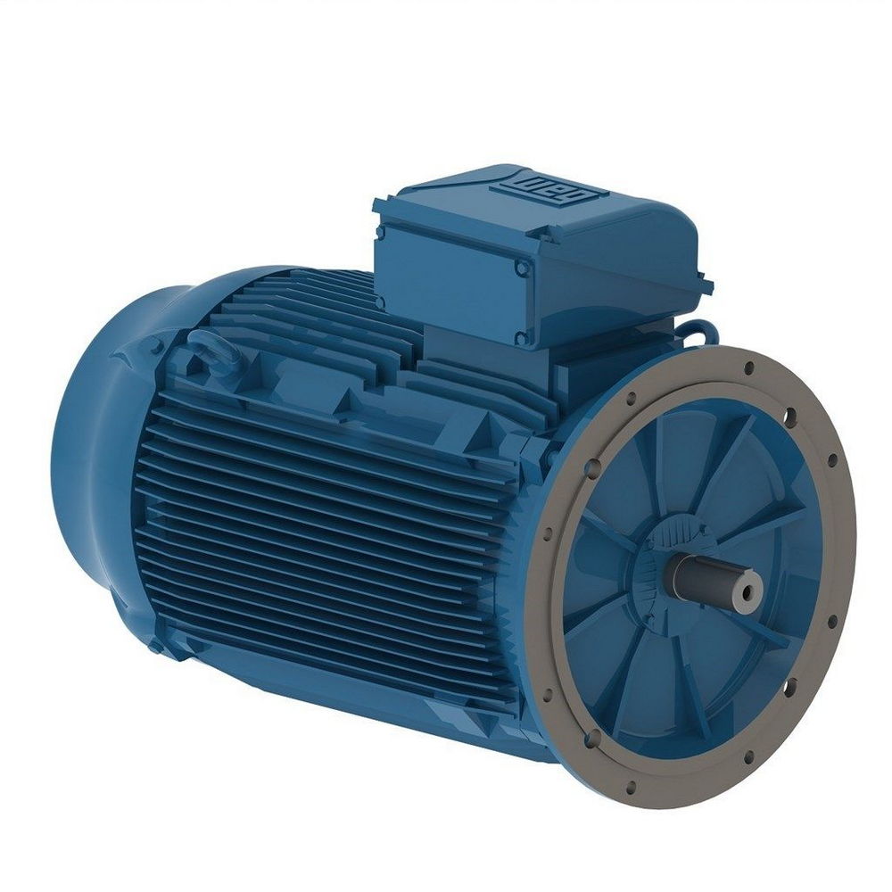 WEG W22 IE2 GY 225S/M-8 18