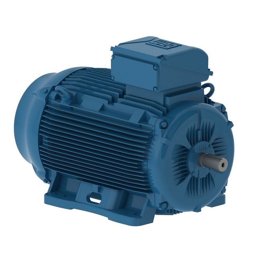 WEG W22 IE2 GY 315L-6 160kW 6p B3T (1pc)
