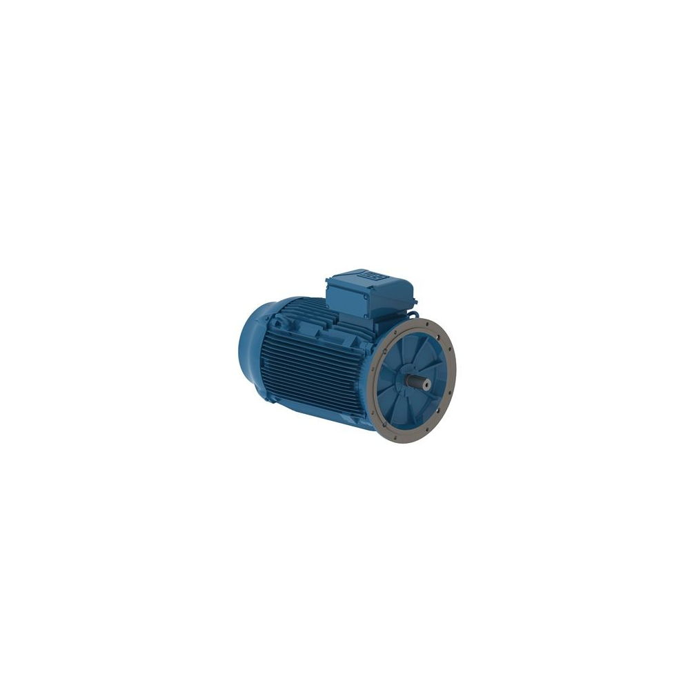WEG W22 IE2 GY 355M/L-8 160kW 8p B5 (1pc)