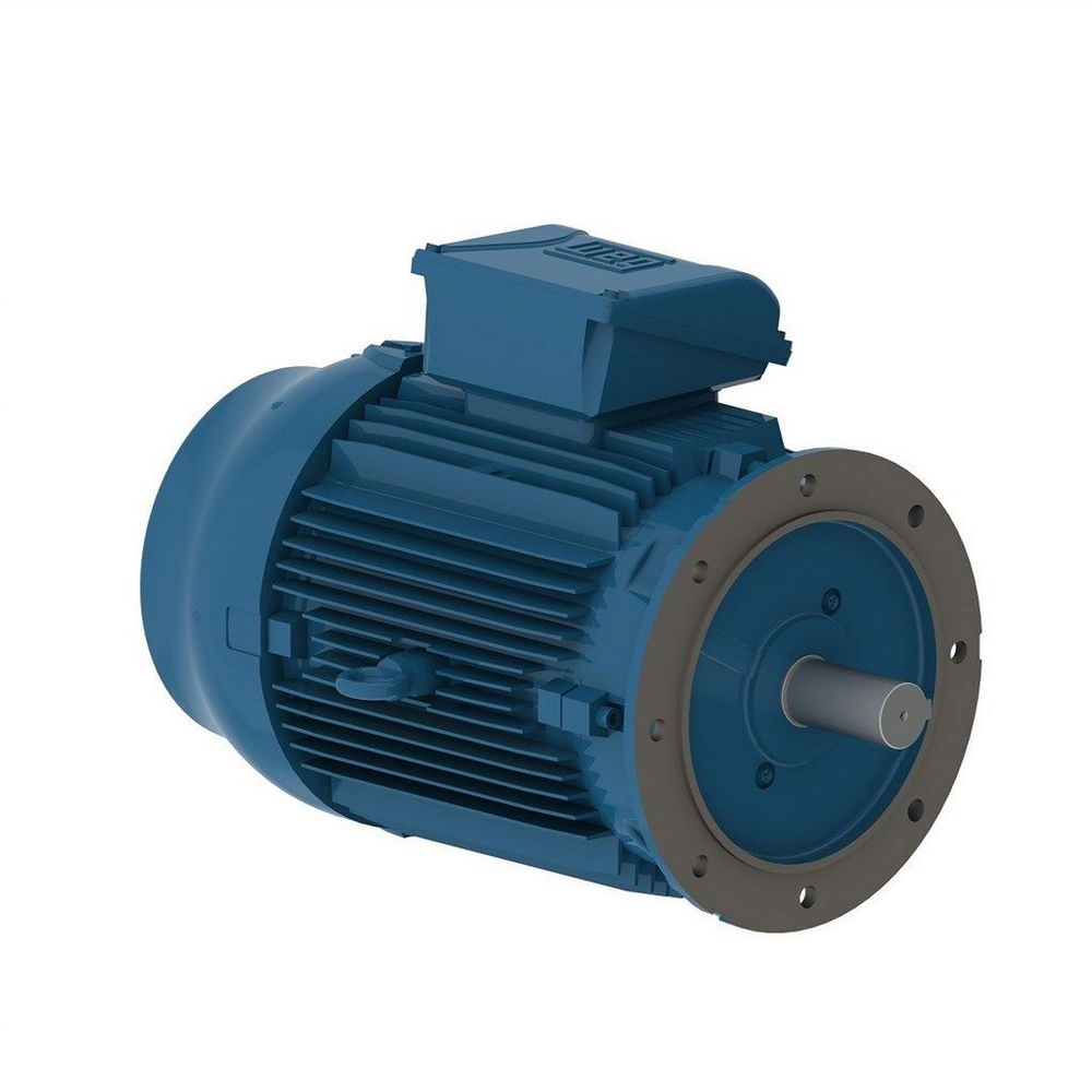 WEG W22 IE2 GY 180M-8 9