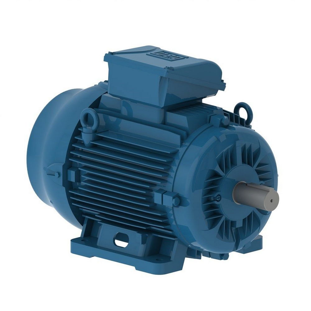 WEG W22 IE2 GY 160L-2 18