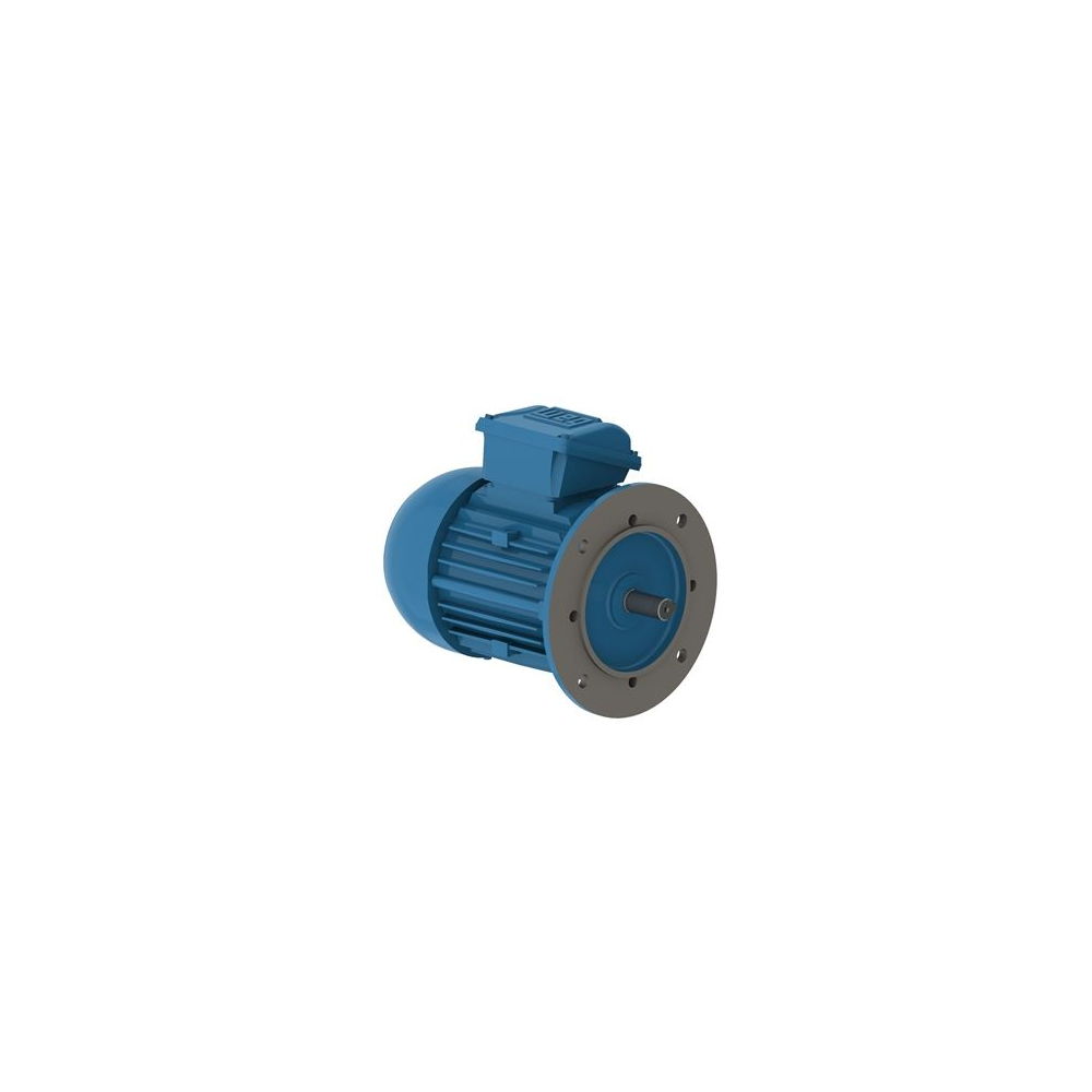WEG W22 IE2 GY 90L-4 1