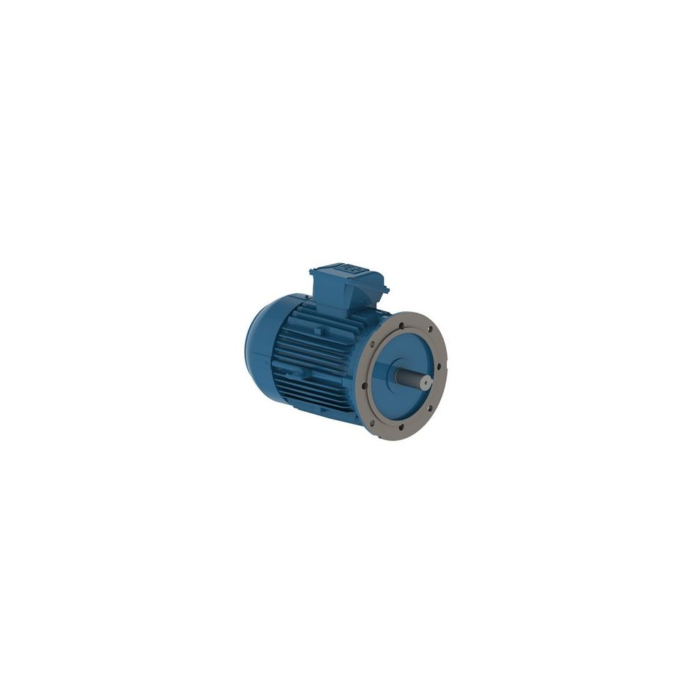 WEG W22 IE2 GY 132S-8 2