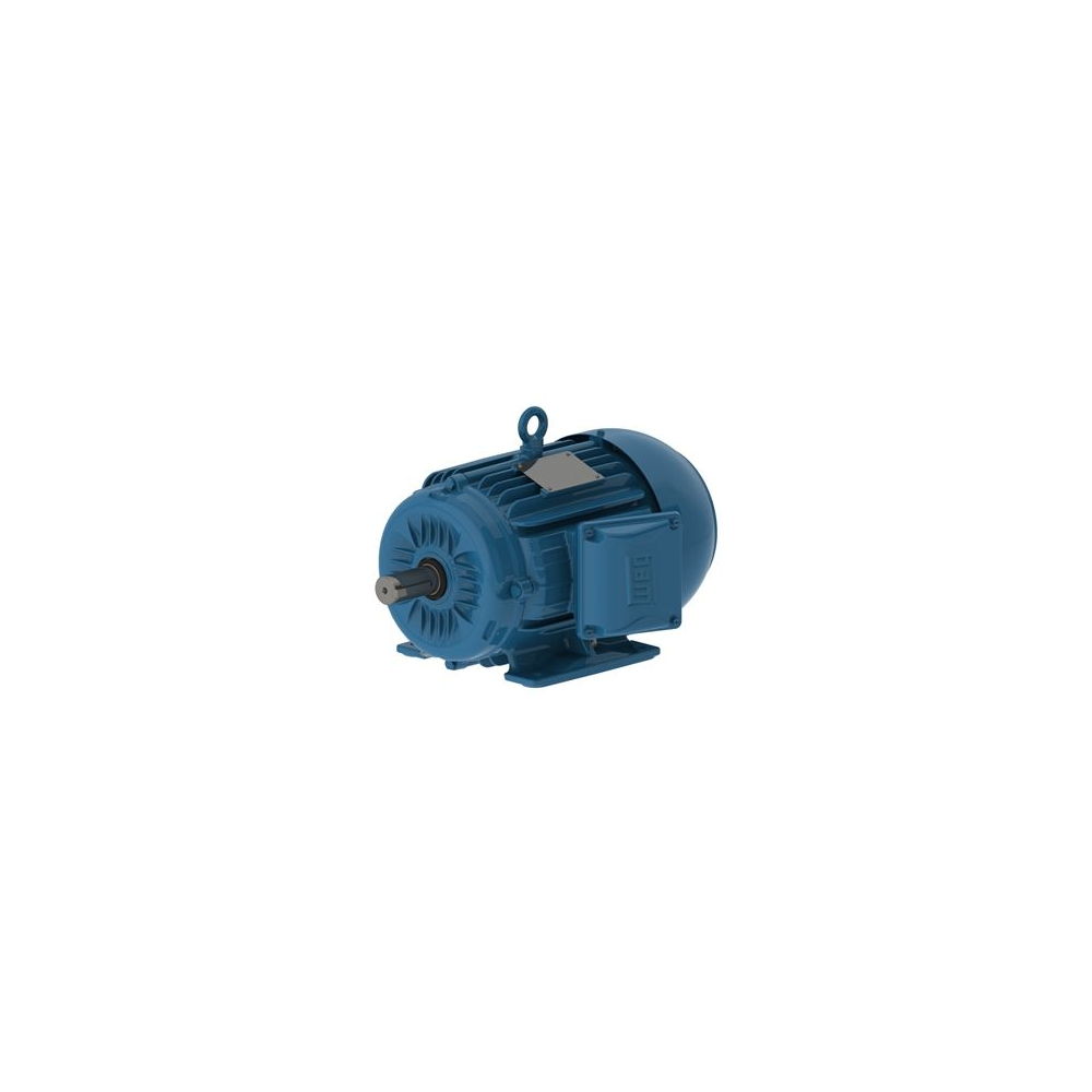 WEG W22 IE2 GY 132S-8 2
