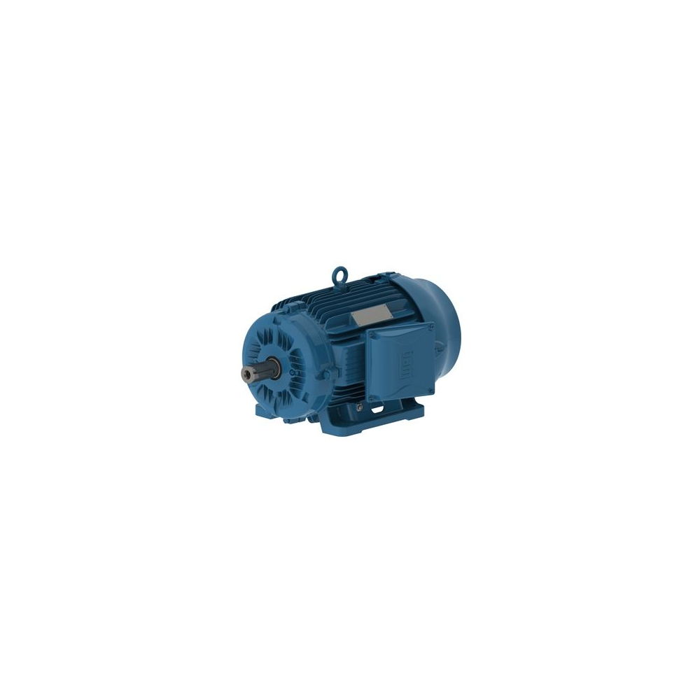 WEG W22 IE3 GY 160M-8 4