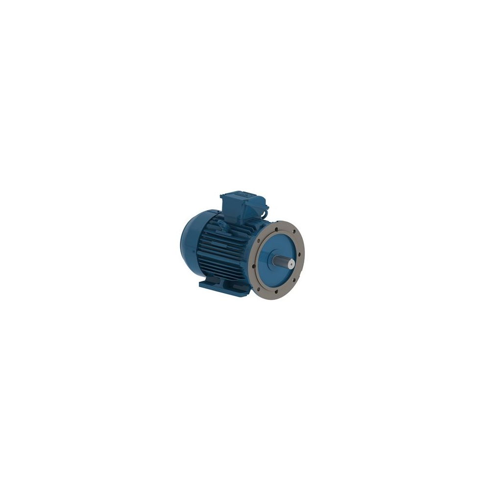 WEG W22 IE2 GY 132S-2 5
