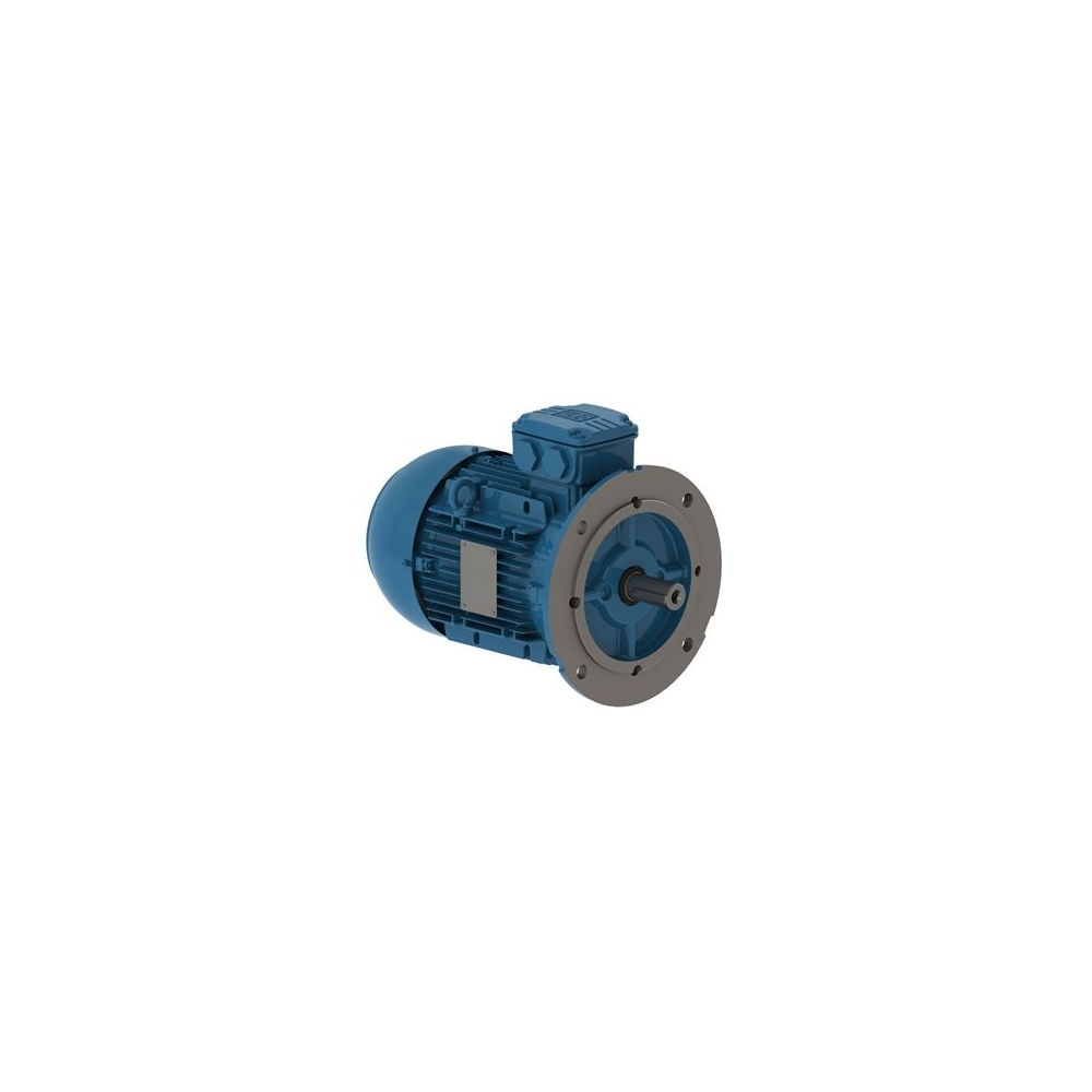 WEG W21 IE3 AL 112M-4 4